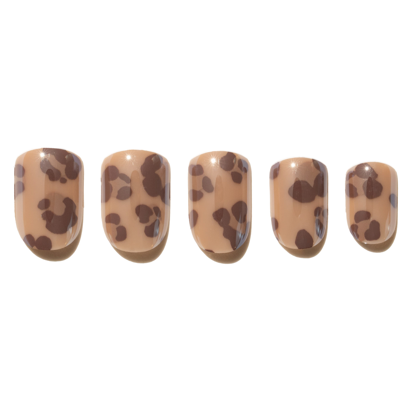leopard glue on nail DHC
