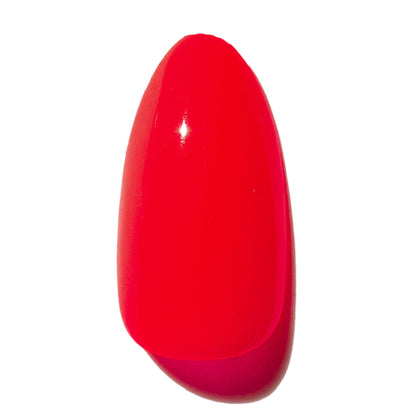 Classy and Fabulous (A)