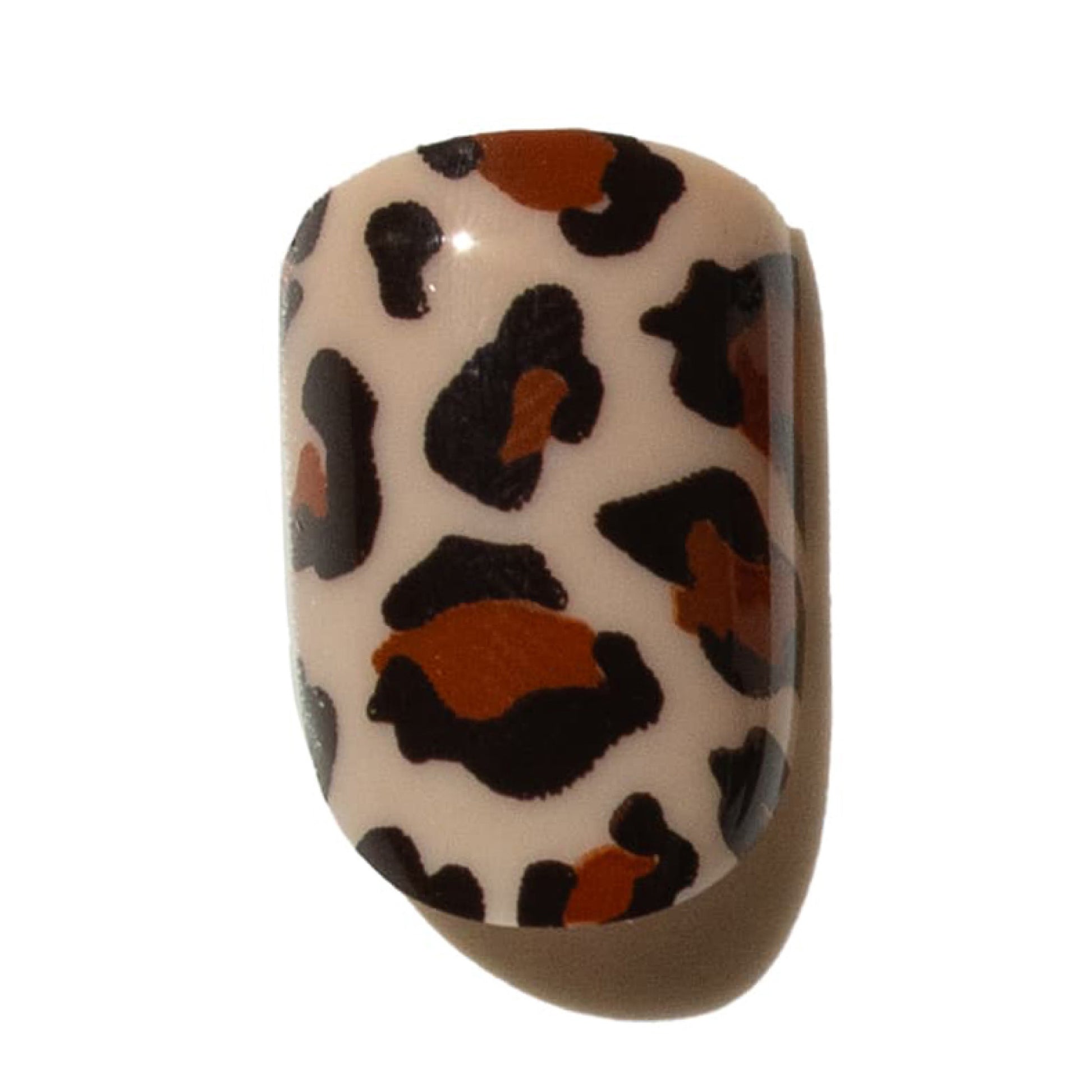 Leopard print press on nail on a white background