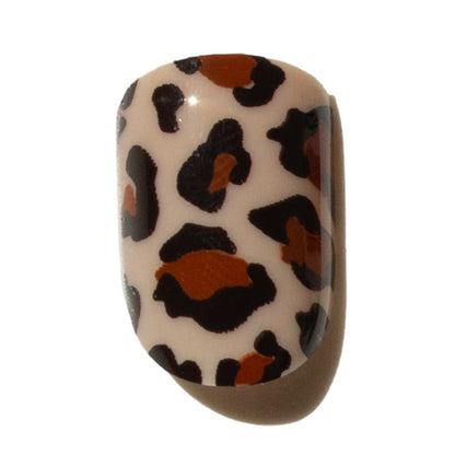 Leopard print press on nail on a white background