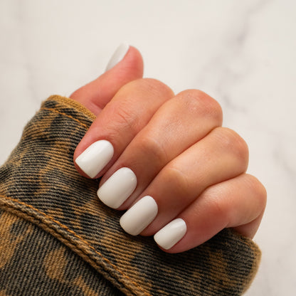Snowfall in Miami - Signature Collection