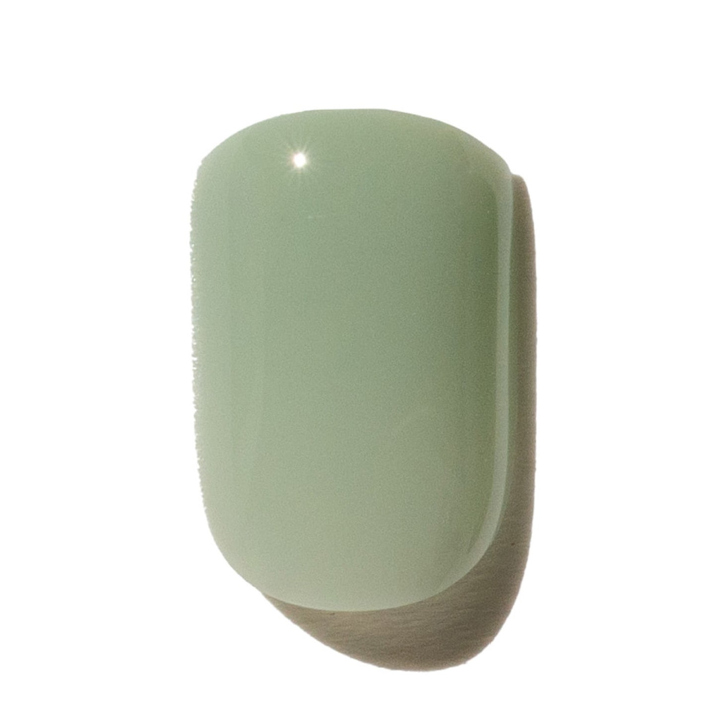 Light green press on nails on a white background