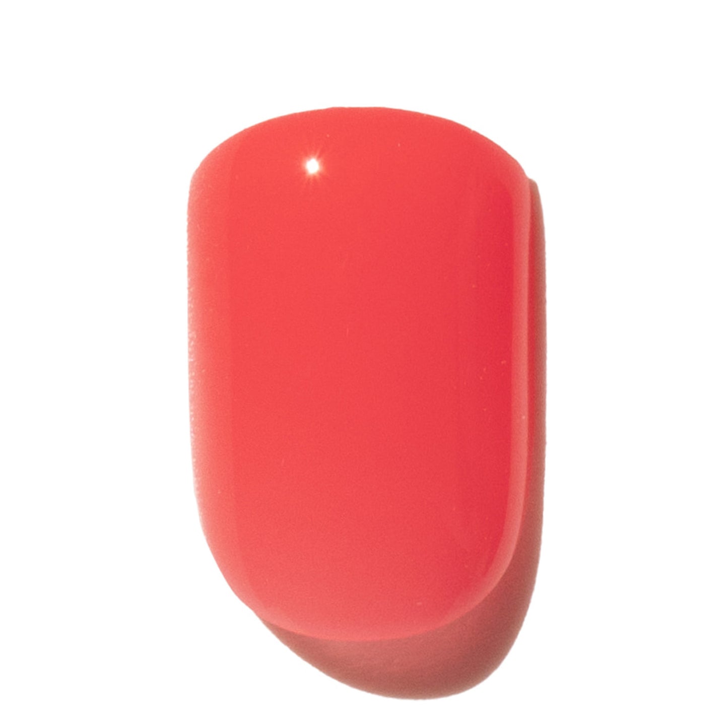 Why Not?