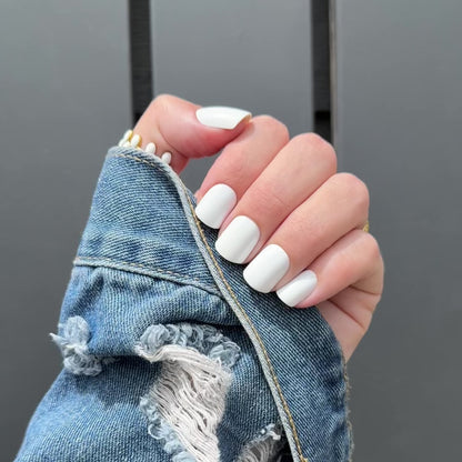 Snowfall in Miami - Signature Collection